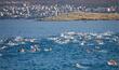 Šilo-Crikvenica plivački maraton 