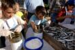 Fažana: Kleine fischerakademie „sardine“