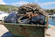 ACI proveo akciju čišćenja marine Šimuni 
